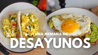 5 Recetas de Desayunos Saludables y Deliciosos que debes probar [upl. by Theona833]