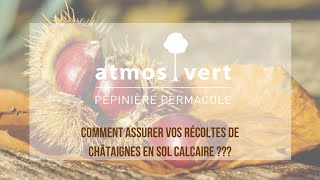 Comment assurer vos récoltes de châtaignes sur sol calcaire [upl. by Araet870]