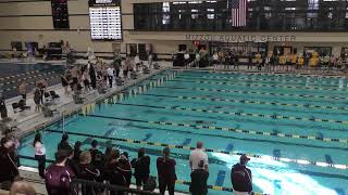 Mens 400 Medley Relay [upl. by Nesnej]