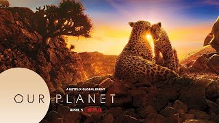 Our Planet  Trailer  Netflix  Dolby Atmos  Dolby Vision [upl. by Natal408]