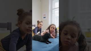 Kids Petting Cat on Bed  Cutest Cat Reaction Ever Caught [upl. by Mischa]