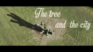 The tree and the city  DJI Spark in Düsseldorf cinematic [upl. by Sivolc]