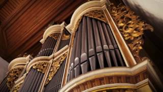 THE PASSACAGLIA OF BACH ON THE SILBERMANN ORGAN IN RÖTHA  XAVER VARNUS [upl. by Esenahs]