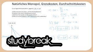 Natürliches Monopol Grenzkosten Durchschnittskosten  Finanzwissenschaft [upl. by Anaujahs337]