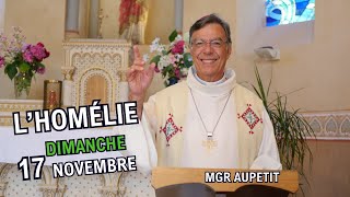 Homélie Mgr Aupetit 17 nov 2024 [upl. by Swartz]