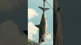 Jurassic World Mosasaurus Feeding HD Movie Clip jurassicworld chrispratt mosasaurus shark [upl. by Smaj]