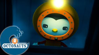 Octonauts  🙀 Kwazii et Peso trouvent un navire hanté 🏴‍☠️  Saison 2  Meilleurs moments [upl. by Oluas]