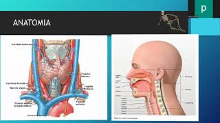 Traqueostomía percutanea en pacientes críticos [upl. by Holtorf]