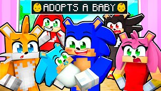 Sonic ADOPTED a BABY in Minecraft [upl. by Huff]