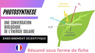 Résumé du chapitre 6  la Photosynthese une conversion biologique de lénergie solaire [upl. by Livesay]