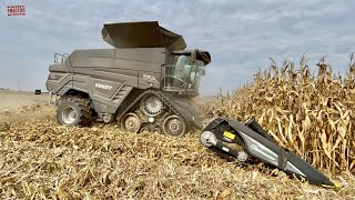 FENDT IDEAL 9T Combine Harvesting Corn [upl. by Kcirddec]