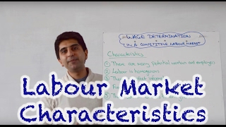 Characteristics of a Perfectly Competitive Labour Market [upl. by Awram]