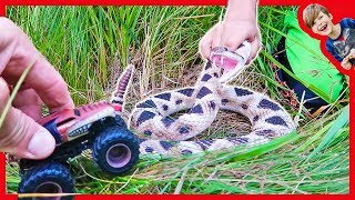 Monster Truck Attacked By Rattle Snake  Toy Truck Favorites [upl. by Oicnevuj]