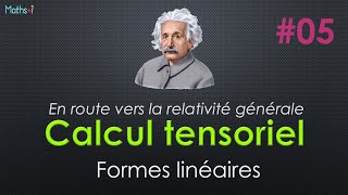 Calcul tensoriel  5 Formes linéaires  PDF [upl. by Nannie]