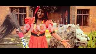 Chilli Wawaye  My Heritage  Official Video [upl. by Eram604]