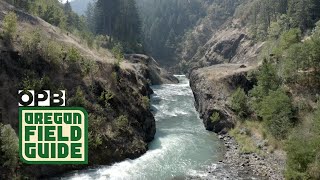 The White Salmon River after Condit dam  Oregon Field Guide [upl. by Ermentrude]