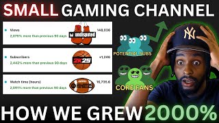 GROW Your GAMING CHANNEL 2000 in 90 DAYS [upl. by Aicak]