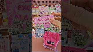 Blind box mini LABUBU Exciting macaron Unboxing Blindbox Labubu diy blindbag miniature [upl. by Netsirk]