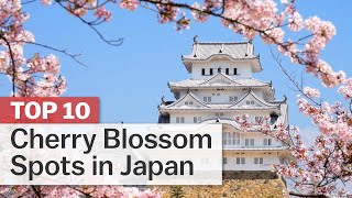 Top 10 Cherry Blossom Spots in Japan  japanguidecom [upl. by Maghutte]