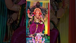 Tankroad cha Raja darshan 2024 [upl. by Delphina594]