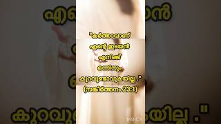 15112024 ഇന്നത്തെ വചനം malayalam bibleverses todaybibleverseinmalayalam dailybiblereading lov [upl. by Anaert]