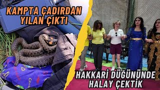 KAMPTA ÇADIRDAN YILAN ÇIKTI  HAKKARİ DÜĞÜNLERİ [upl. by Housum]