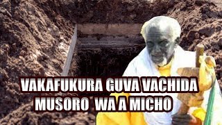 Vakafukunura Guva Vakatora Musoro Vachisiya Mapfupa PanzeVachida Musoro WaMicho foryou viral fyp [upl. by Angy]