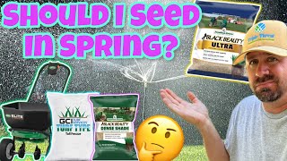 Should I Overseed My Fescue In Spring [upl. by Ssalguod]