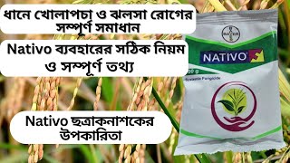 Nativo কখন কিভাবে কোন কোন রোগের জন্য ব্যবহার করবেনধানের খোলাপচা ঝলসা সমস্যা সমাধানBayer Nativo [upl. by Redep]