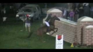 Vicki Wilson jumps 6ft Puissance wall  BAREBACK [upl. by Ellga]