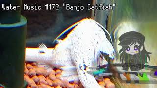 Water Music 172 quotBanjo Catfishquot [upl. by Einehpets]