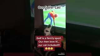 Our Golfer Cat identifies w our family sport pets catlifeishard funny [upl. by Lena]