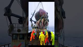 Fishermen’s Battle with Giant Crustaceans and Octopus on the American Coast – A Terrifying Encounter [upl. by Volnak]