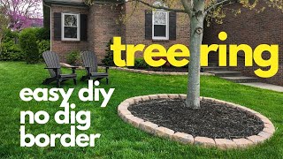 easy diy No Dig Border TREE RING [upl. by Gage206]