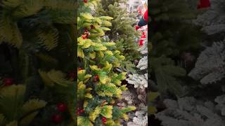 Christmas MarketRachelchristmasshortvideodecorationreelsminivloggrwmshortsluludailyvlog [upl. by Ltihcox]