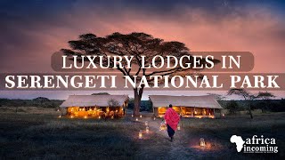 Top 5 Luxury Lodges in Serengeti National Park  Tanzania Safari  Africa Incoming [upl. by Wagoner904]