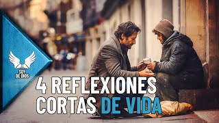 4 Hermosas Reflexiones Cortas de la Vida  Enseñanzas de Fe y Versiculos de la Biblia Soy De Dios [upl. by Wooldridge]