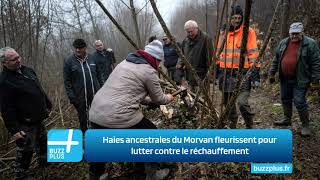 Haies ancestrales du Morvan fleurissent pour lutter contre le réchauffement [upl. by Girardi]