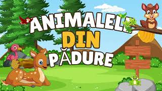 ANIMALELE DIN PĂDURI  videoclip educațional [upl. by Clarise615]