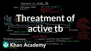 Treatment of Active TB  Infectious diseases  NCLEXRN  Khan Academy [upl. by Udele61]