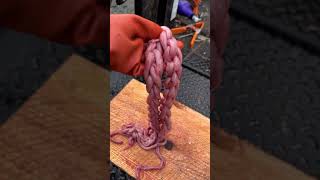 Heather Douville a member of the Tlingit tribe shares traditional methods for processing a seal [upl. by Sone536]