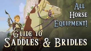 Guide Horse Saddles amp Bridles Equipment Legend of Zelda Breath of the Wild Royal Stallion [upl. by Ambrosane209]