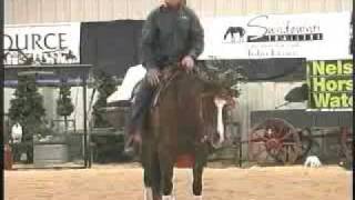 Best Start for the Unbroke Horse Series Simplifying Cues  Legs and Reins [upl. by Leamsi]