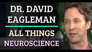 Dr David Eagleman  All Things Neuroscience [upl. by Anilas635]