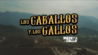 Lil Chris  Madexlacalle  Los caballos y los gallos Video Oficial [upl. by Ostler780]