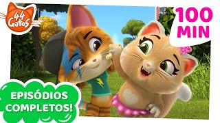 44 Gatos  Latinoamérica  8 Episodios Completos 😺 Buffycats ¡Amigos gatásticos [upl. by Anomis]