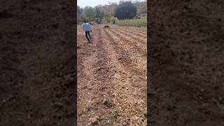 ran dukkar kese pakda jhale me khet k bahar [upl. by Ihsir223]