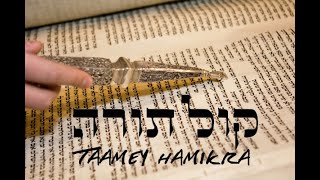 Taamey Hamikra  Barak B  טעמי המקרא תורה ספרדי ירושלמי [upl. by Edrahs522]