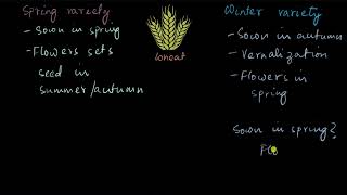 Vernalization  Plant growth and development  Biology  Khan Academy [upl. by Burrows]