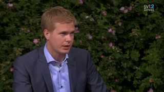 Almedalen 2013  Debatt med Gustav Fridolin MP  Hela intervjun [upl. by Adnauqahs81]